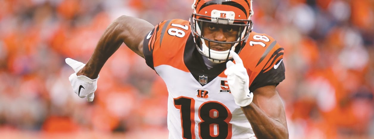 Gameday Injuries: Week 11