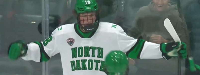 Top NCAA Fantasy Hockey Prospects 2025-26: Big Ten & NCHC Stars to Watch