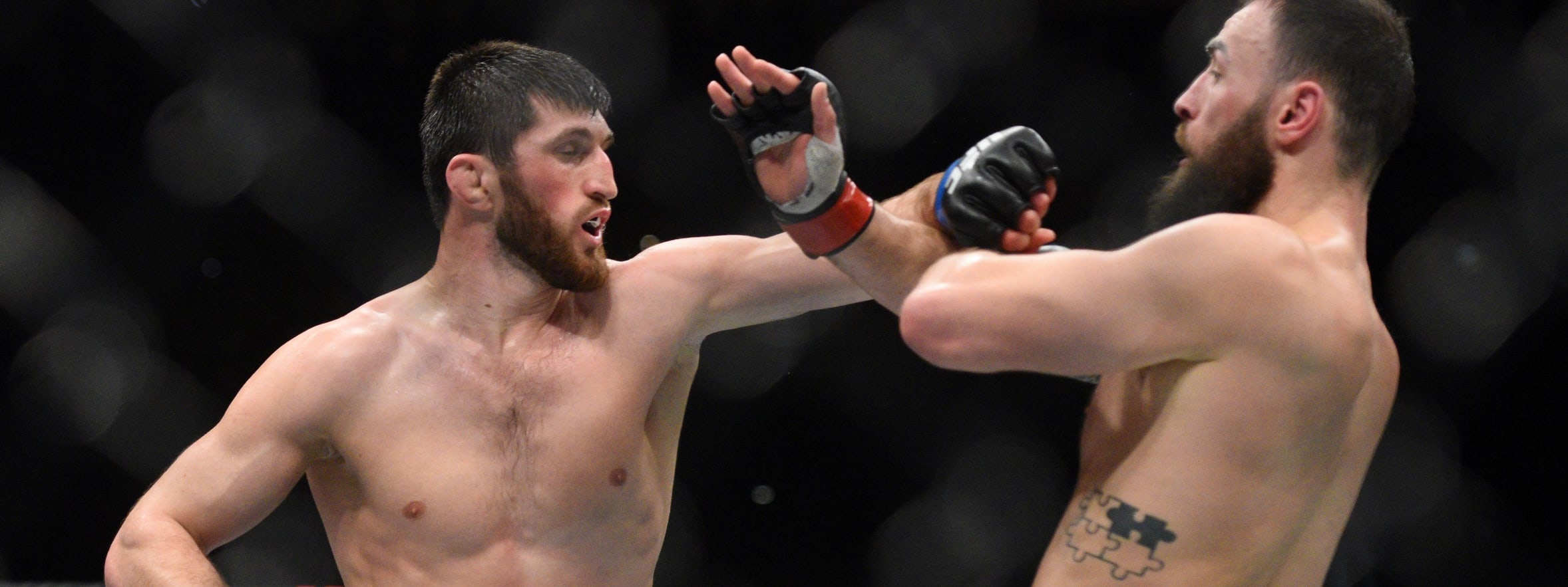 Drake's Takes: UFC Fight Night Santos vs. Ankalaev