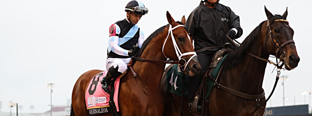 2025 Preakness Stakes: Odds, Favorites, and Betting Tips