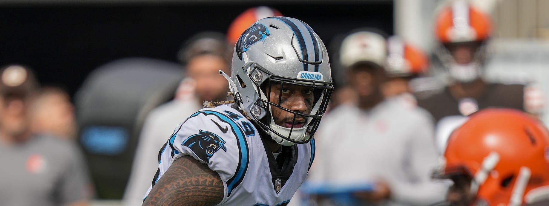 IDP Analysis: Week 2 Review