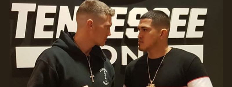 DraftKings MMA: UFC Vegas 17 Preview