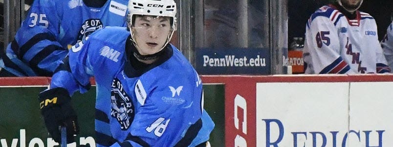 Top NHL Draft Prospects: Ranking Future Stars and Hidden Gems