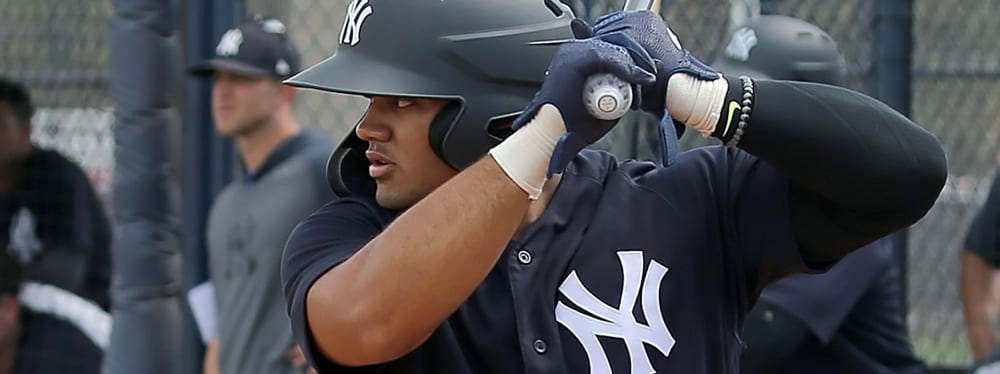 Farm Futures: Ranking Dilemmas: Prospects 1-25