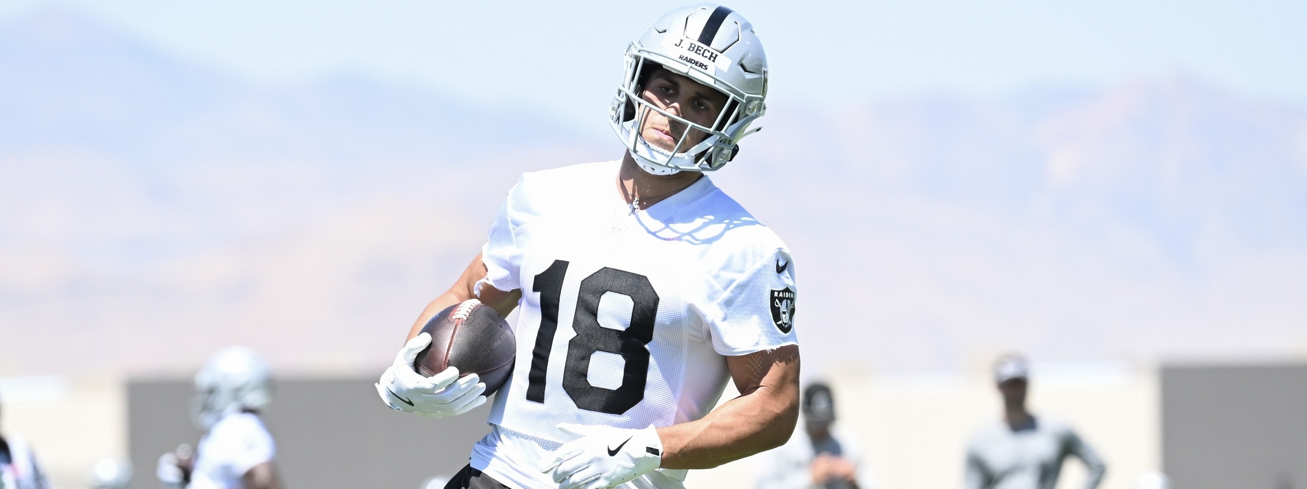 NFL Picks: Week 14 Underdog Selections