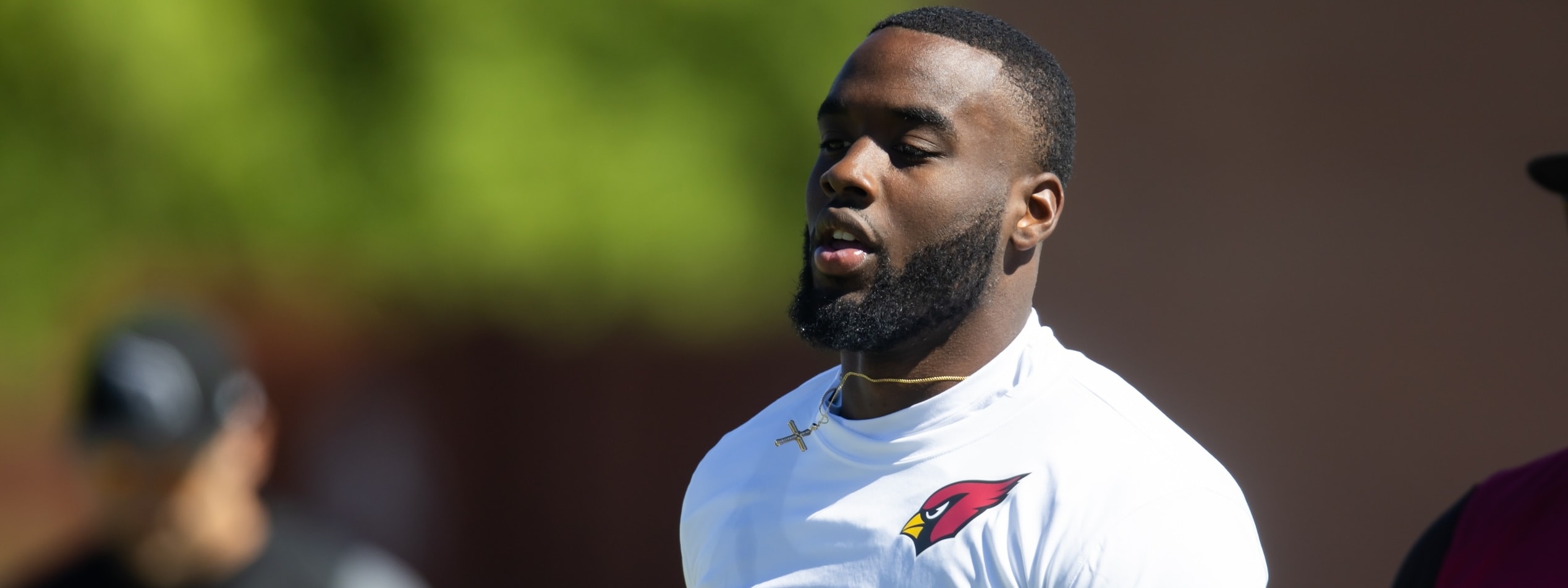 Best Backup Running Backs to Target in Fantasy Football: Ten Top Values
