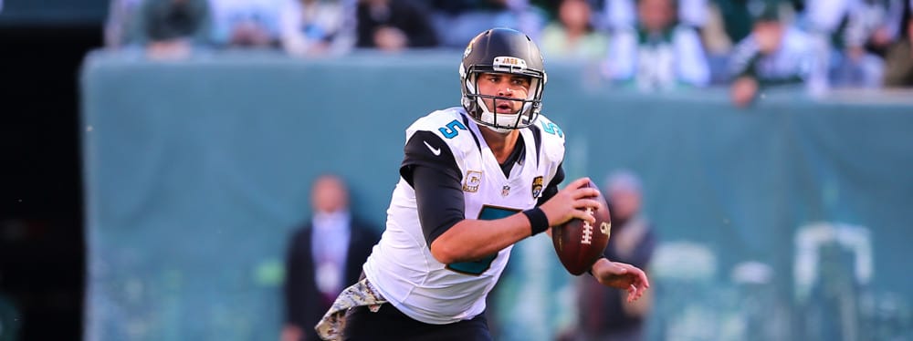 FantasyDraft NFL: Conference Championship Picks