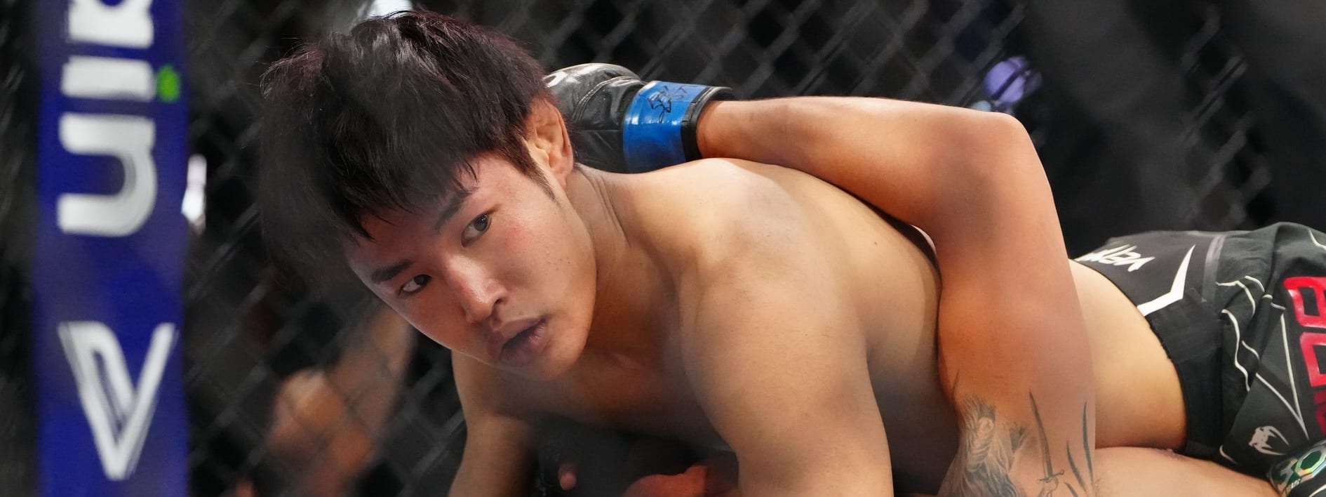 UFC Vegas 93 Preview and Predictions: The MMA Mashup