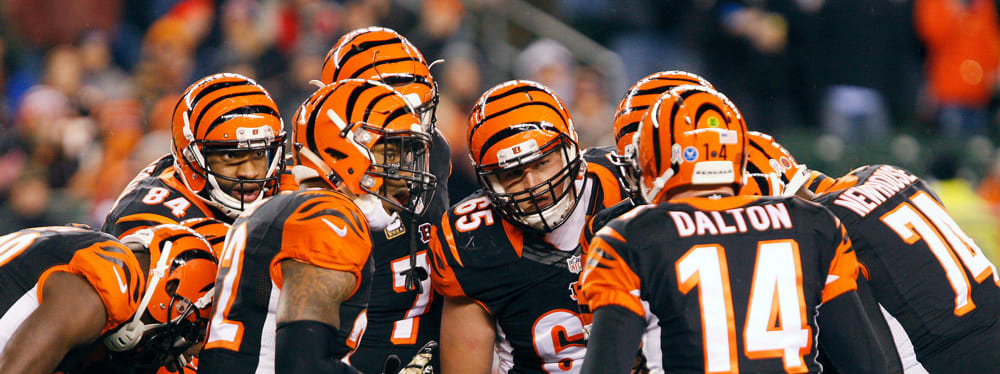 DFS Tournament Guide: Week 13 Strategy