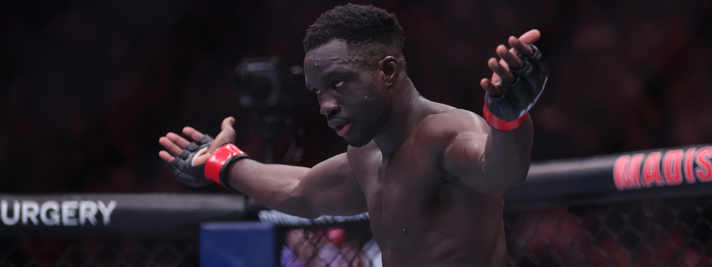 DraftKings UFC Picks: UFC Vegas 110 DFS Preview