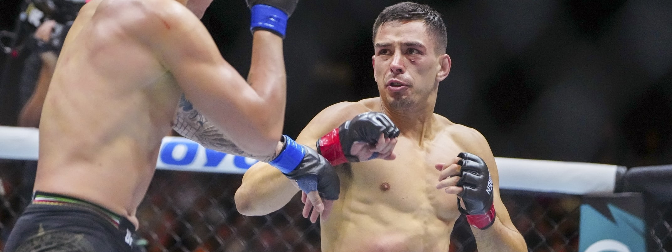 DraftKings UFC Picks: UFC Baku DFS Preview