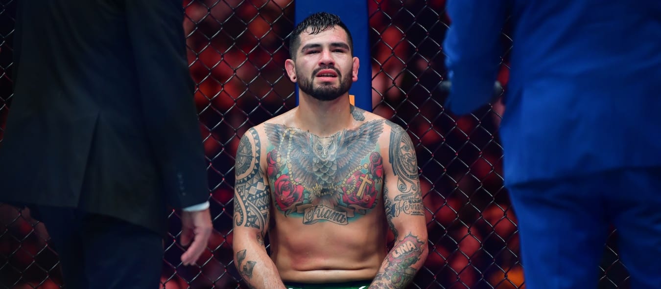 Top UFC Vegas 109 DFS Picks \u0026 Best Bets: Dolidze vs. Hernandez, image size:1350x591