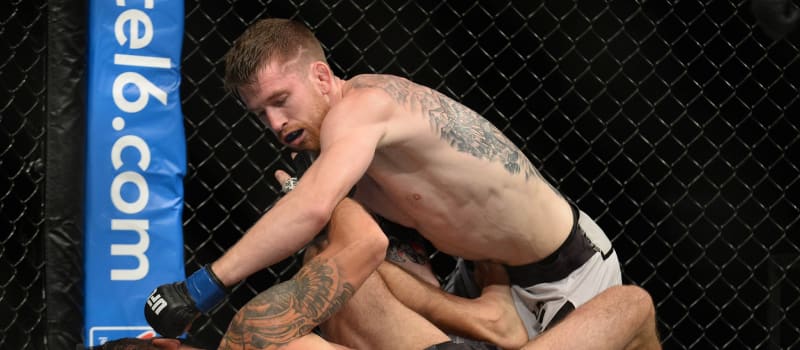 Drake's Takes: UFC Vegas 60 Sandhagen vs. Yadong - Vimarsana News