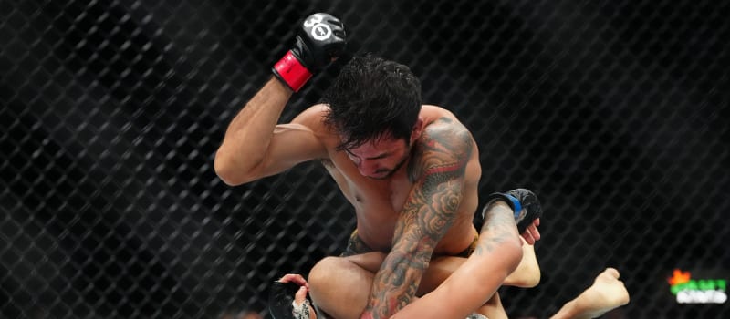 UFC 301 Preview and Predictions: The MMA Mashup - Vimarsana News