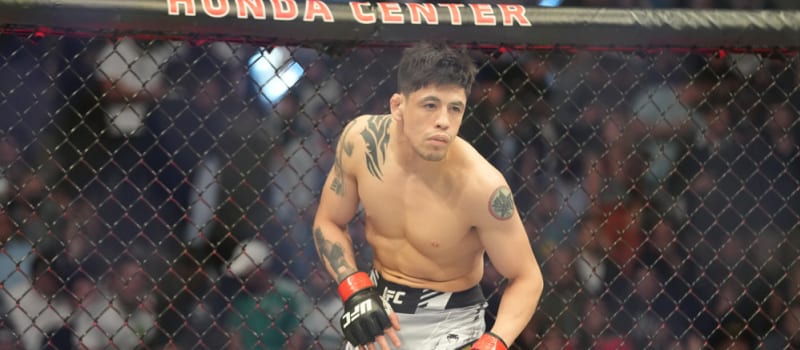 DraftKings MMA: UFC Mexico City DFS Preview - Vimarsana News