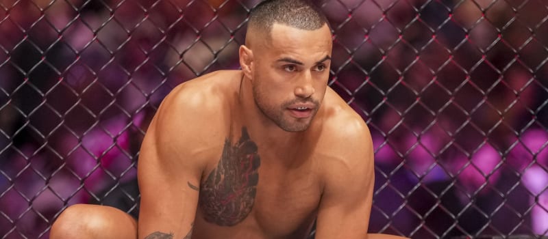 UFC 327 Predictions: Prochazka vs. Ulberg DFS Picks & Value Plays