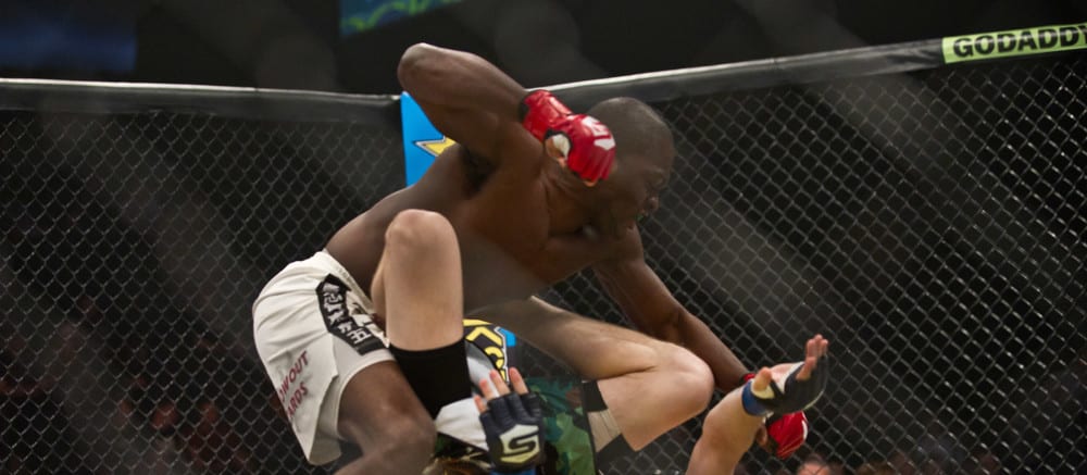 Fight Stat Wrap: UFC Sao Paulo Recap