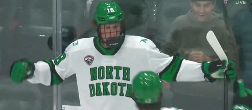 Top NCAA Fantasy Hockey Prospects 2025-26: Big Ten & NCHC Stars to Watch