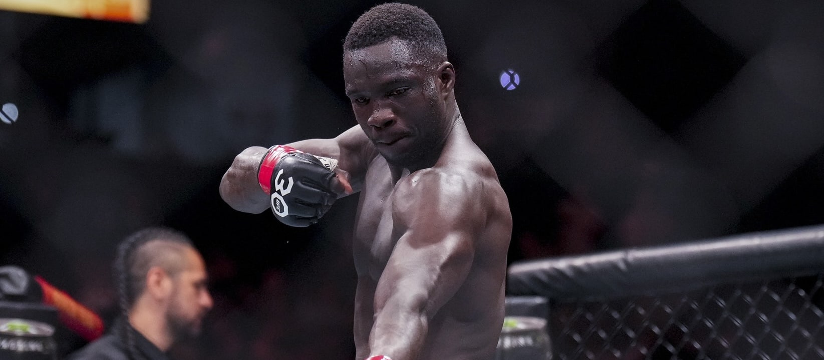 UFC Vegas 110 Preview and Predictions: The MMA Mashup