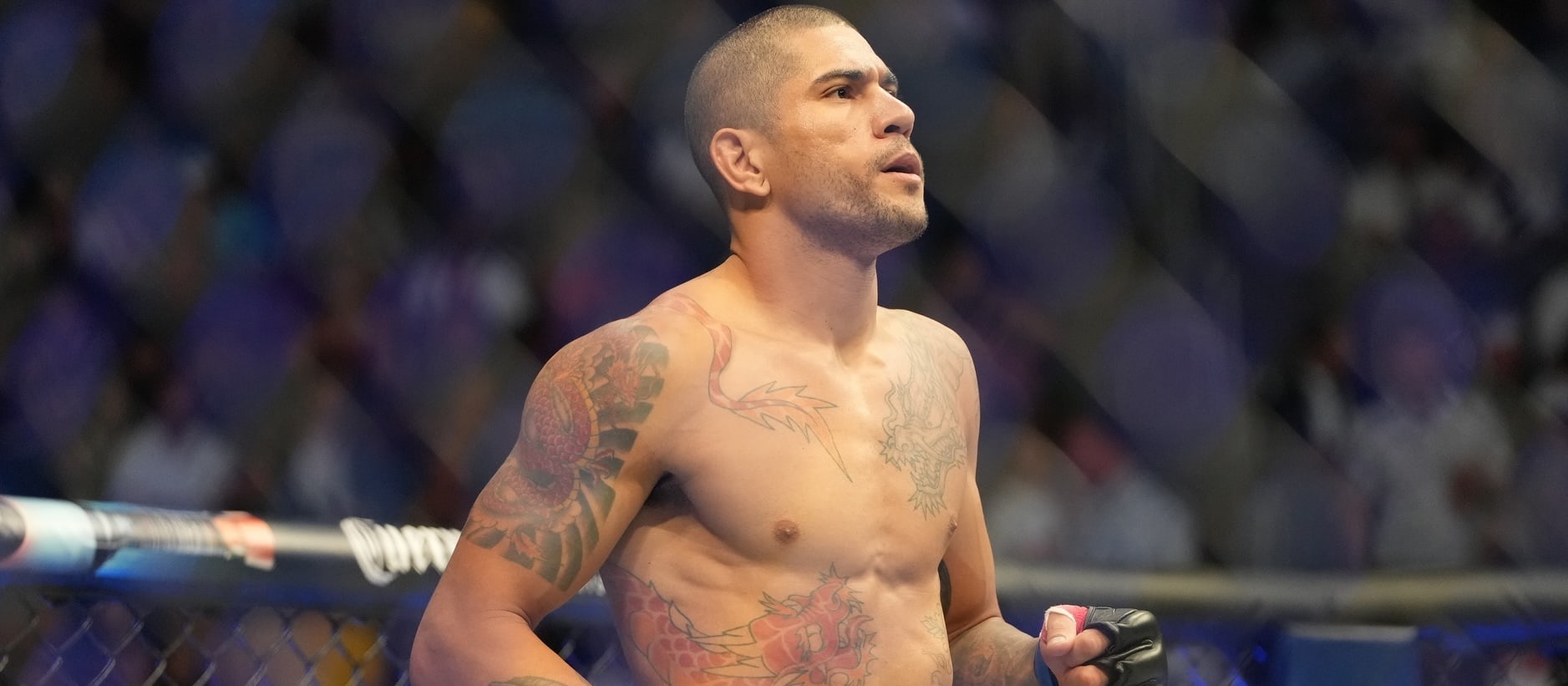 DraftKings MMA: UFC 303 DFS Preview