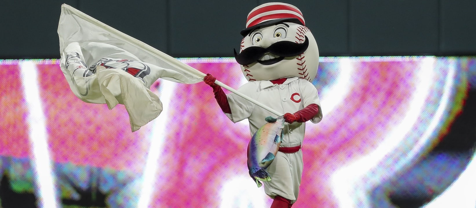 No Shave November: Top States for Movember