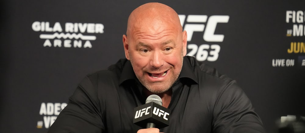 DraftKings MMA DFS Lineup Optimizer