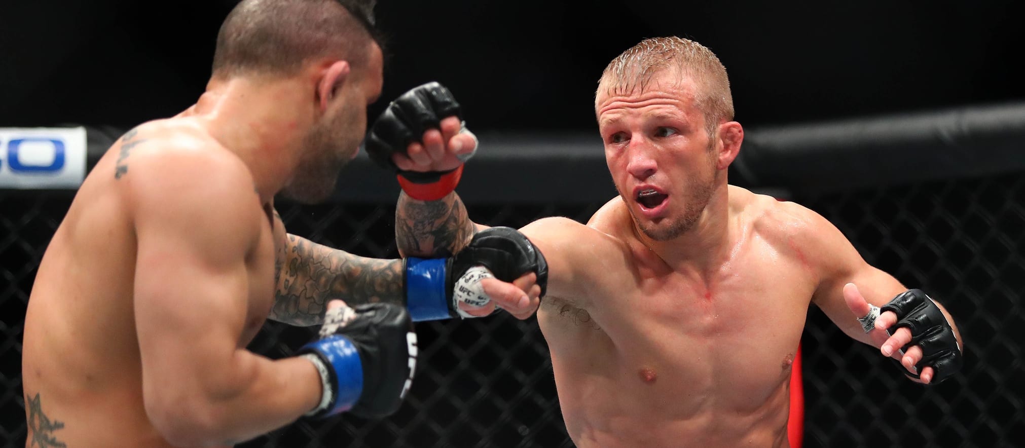 MMA Best Bets: Cole's Picks, Odds, and Predictions for UFC 280