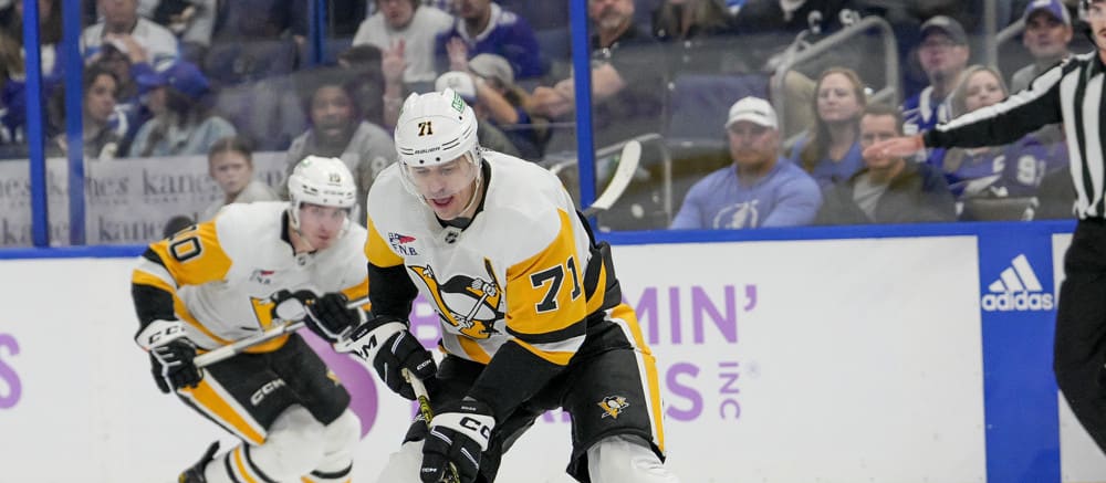 Hutch's Hockey: A Paradise for Sports Fans