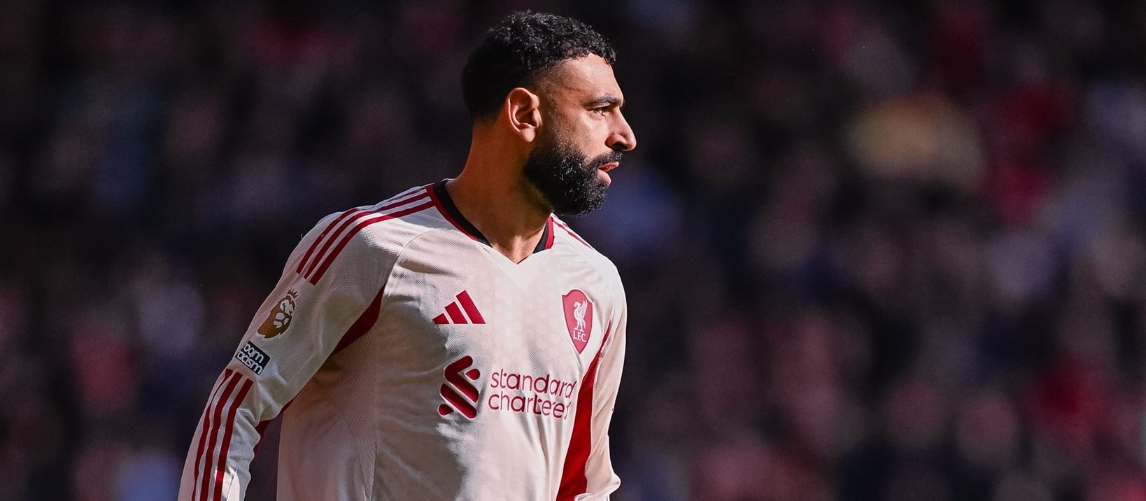 Best Free Hit Team for FPL Gameweek 29