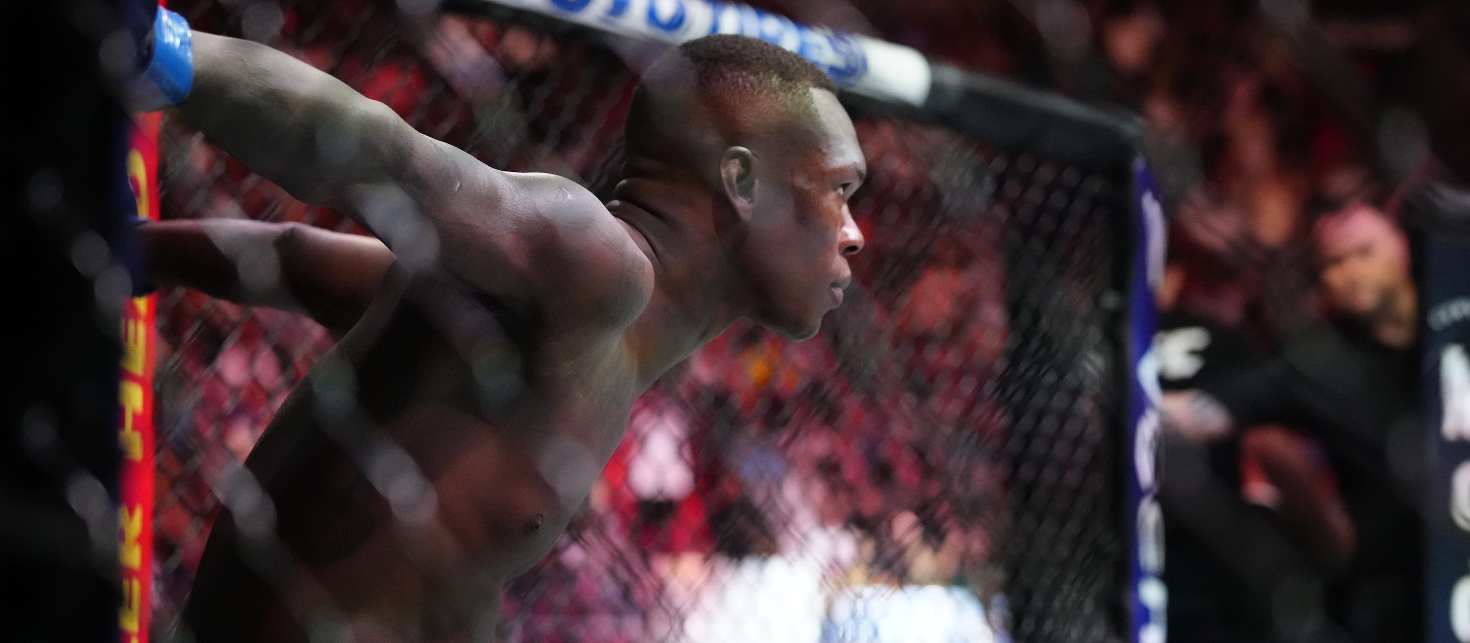 UFC 293 Preview and Predictions: The MMA Mashup