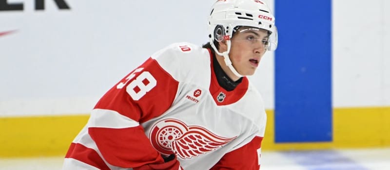 RotoWire NHL DFS picks