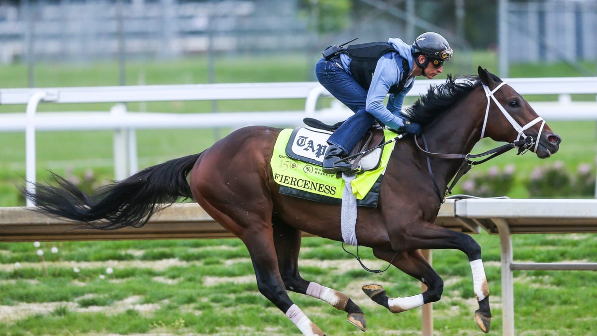 2024 Kentucky Derby expert picks Who are the best bets cocogarage.jp