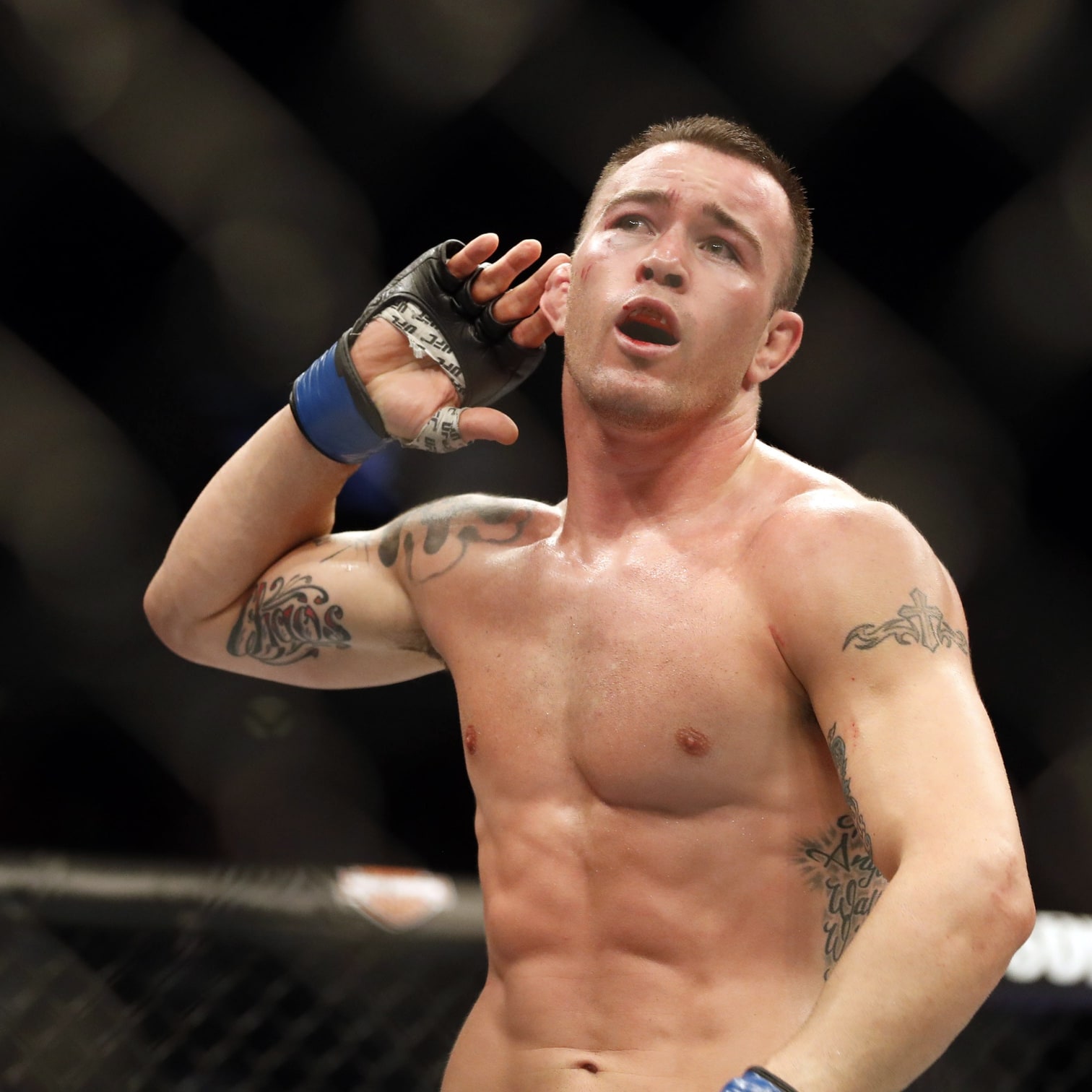 The MMA Mashup: UFC 272 Preview