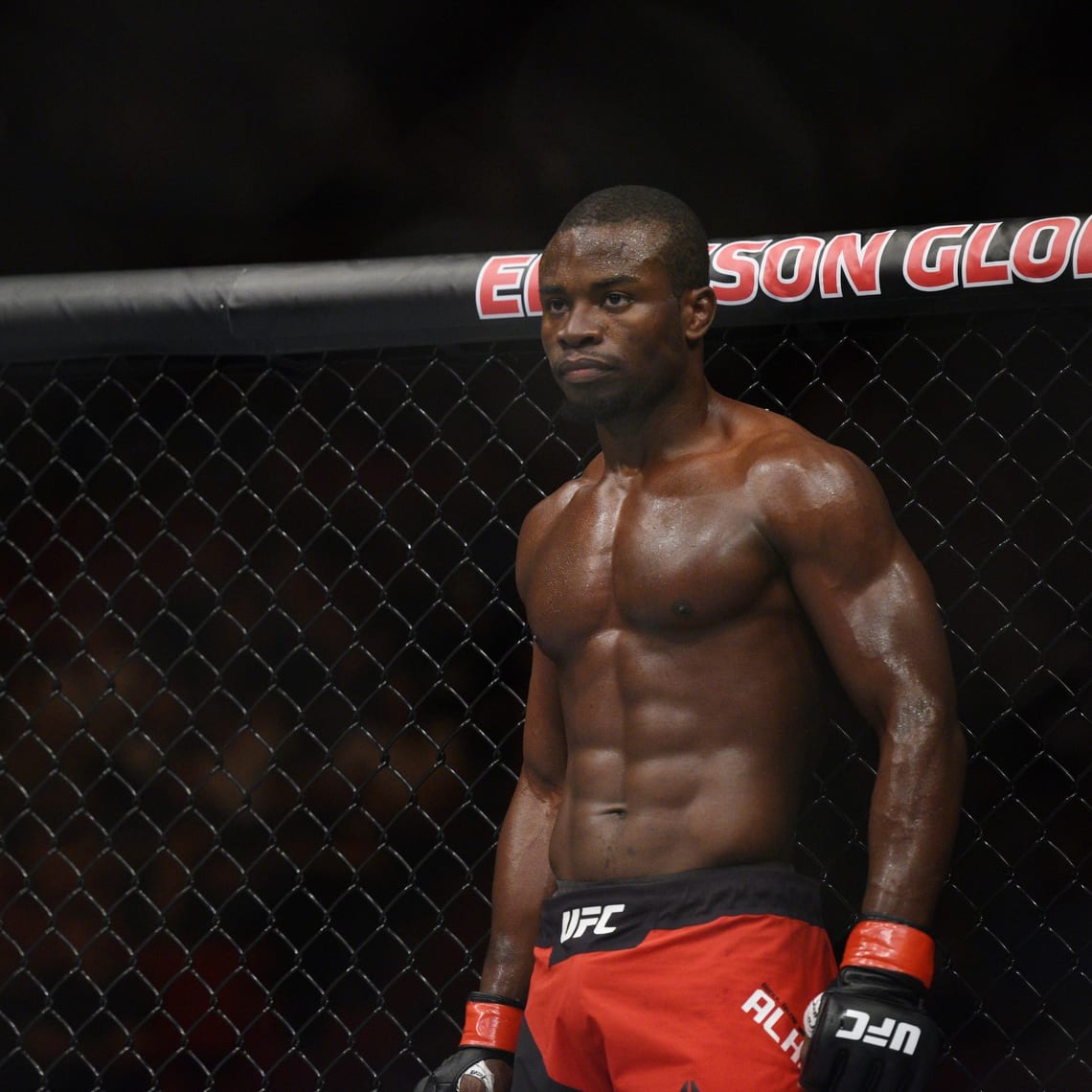 UFC Denver Preview and Predictions: The MMA Mashup