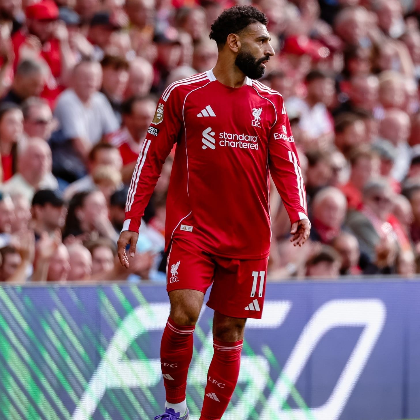 Fantasy Premier League Player Rankings: Gameweek 8