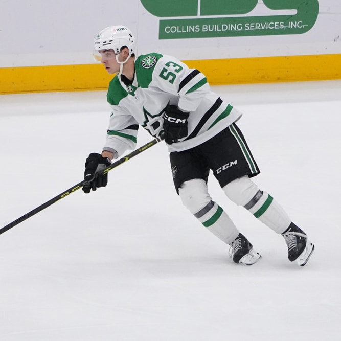 NHL Barometer: Risers and Fallers for the Week