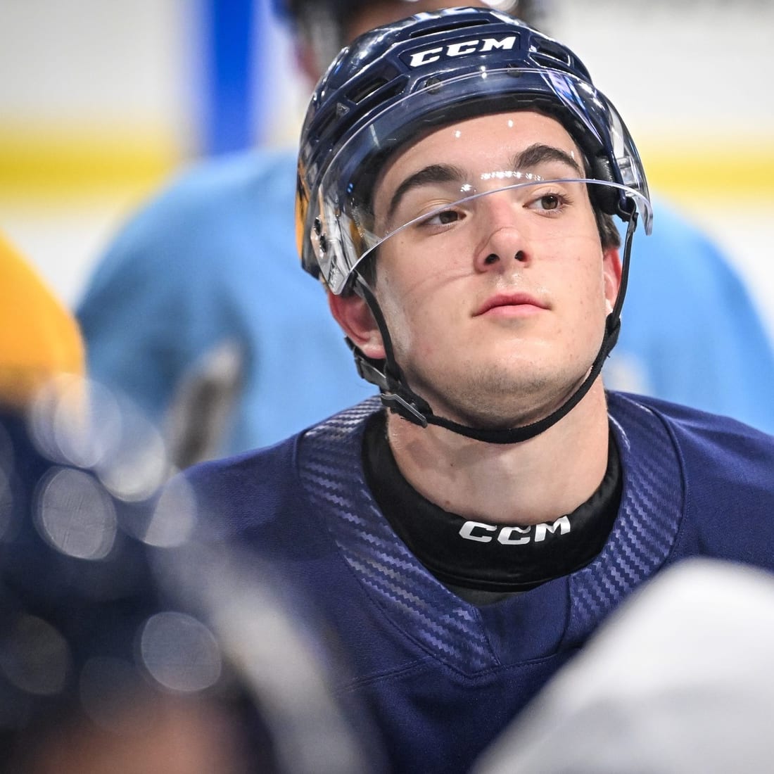 NHL Monthly Prospect Stock Report: January