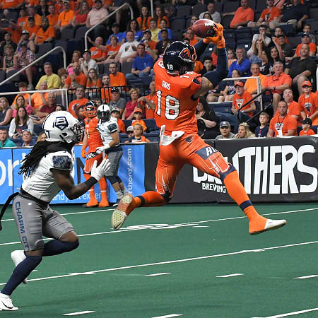 Arena Football DFS: DraftKings Week 10 Plays