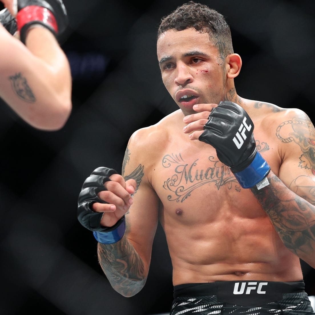 UFC Predictions: Preview, Picks & Props for UFC Perth: The MMA Mashup