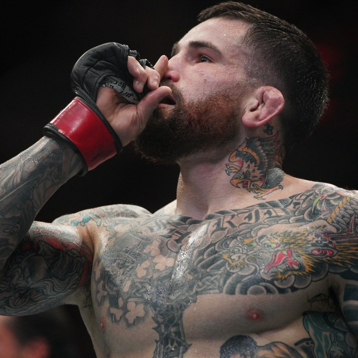 DraftKings MMA: UFC Vegas 97 DFS Preview