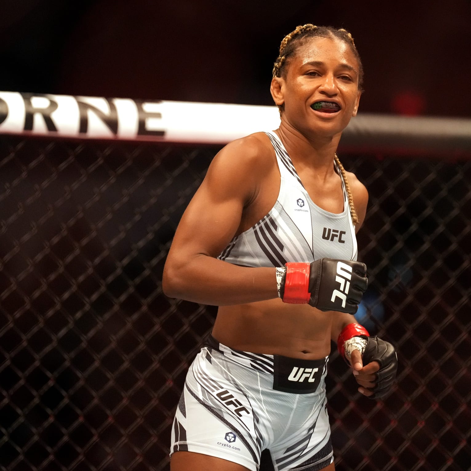 UFC Vegas 73 DFS Preview and Predictions: The MMA Mashup