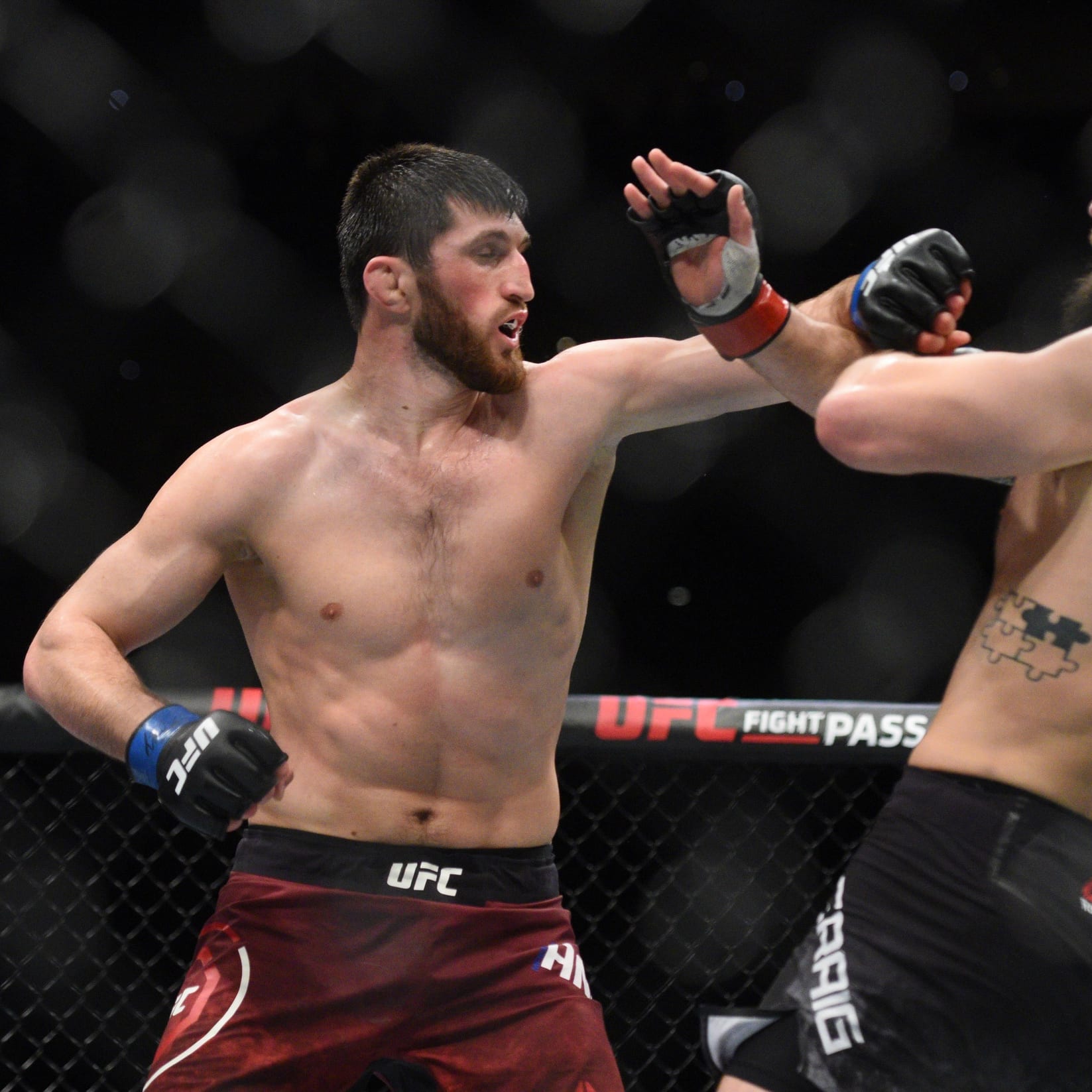 Drake's Takes: UFC Fight Night Santos vs. Ankalaev