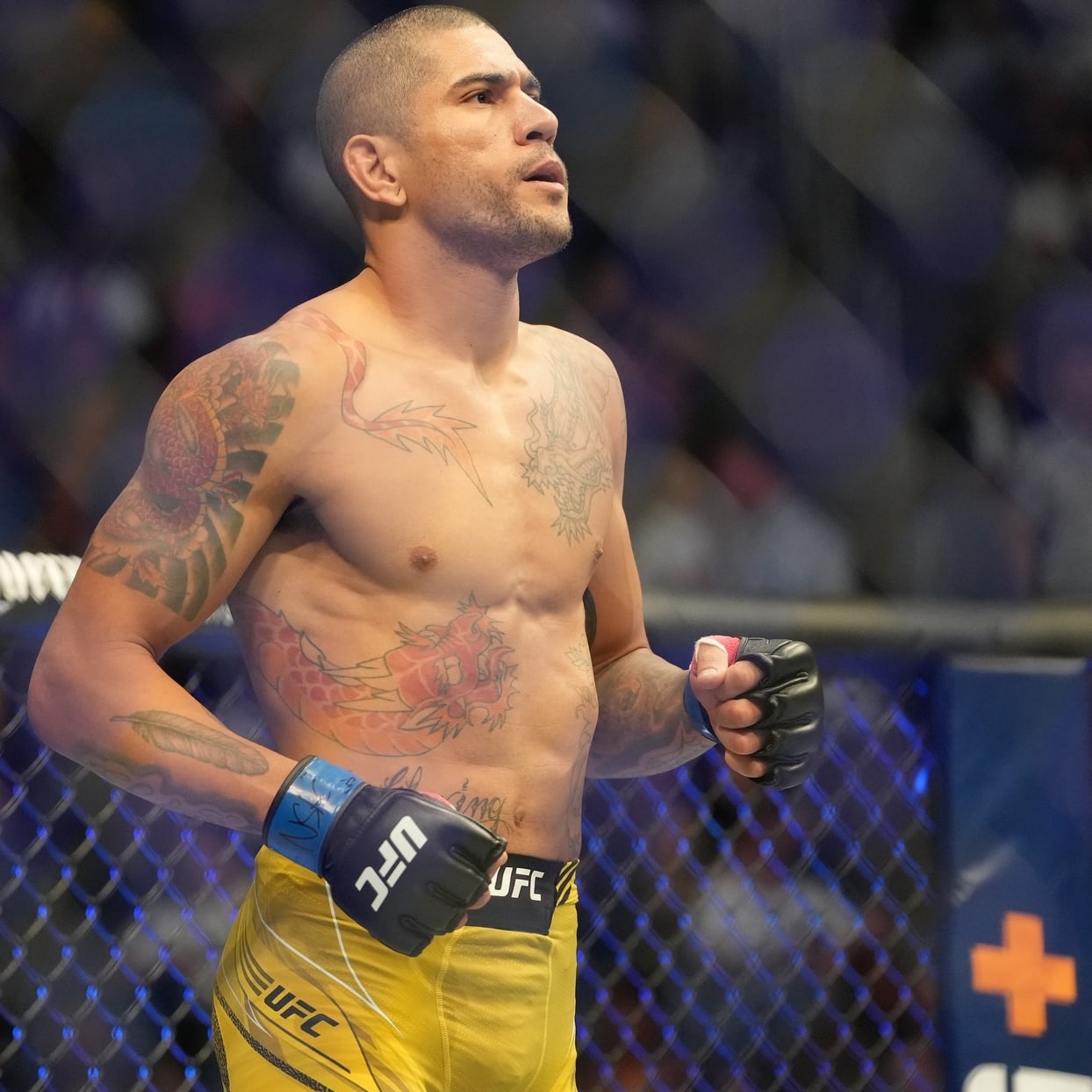 DraftKings MMA: UFC 303 DFS Preview