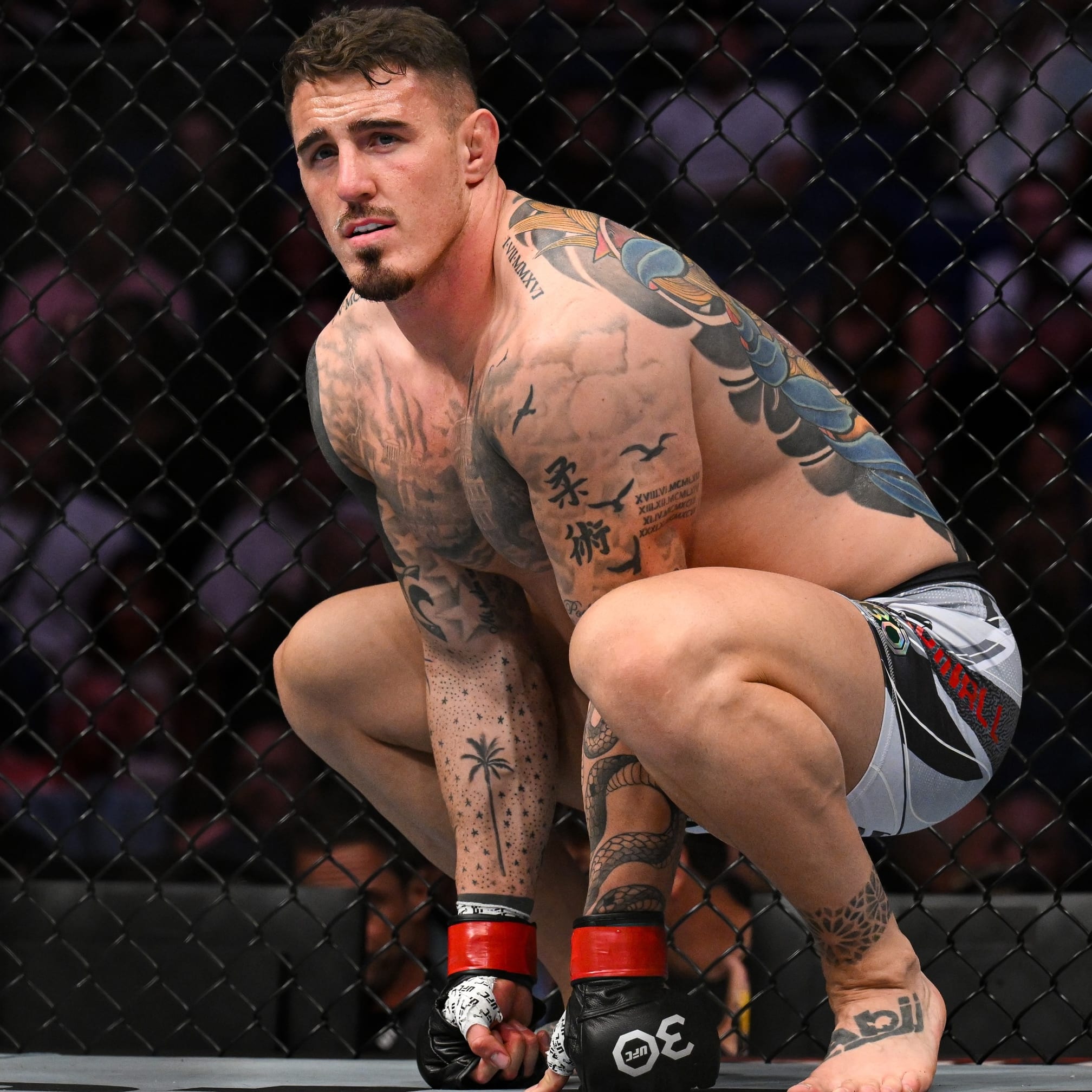 UFC 321 Expert Picks: Predictions for the Main Card