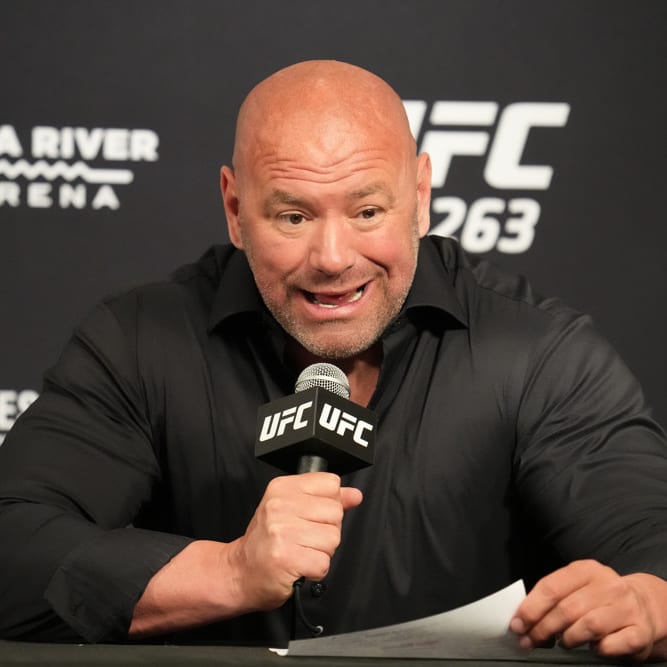 DraftKings MMA DFS Lineup Optimizer