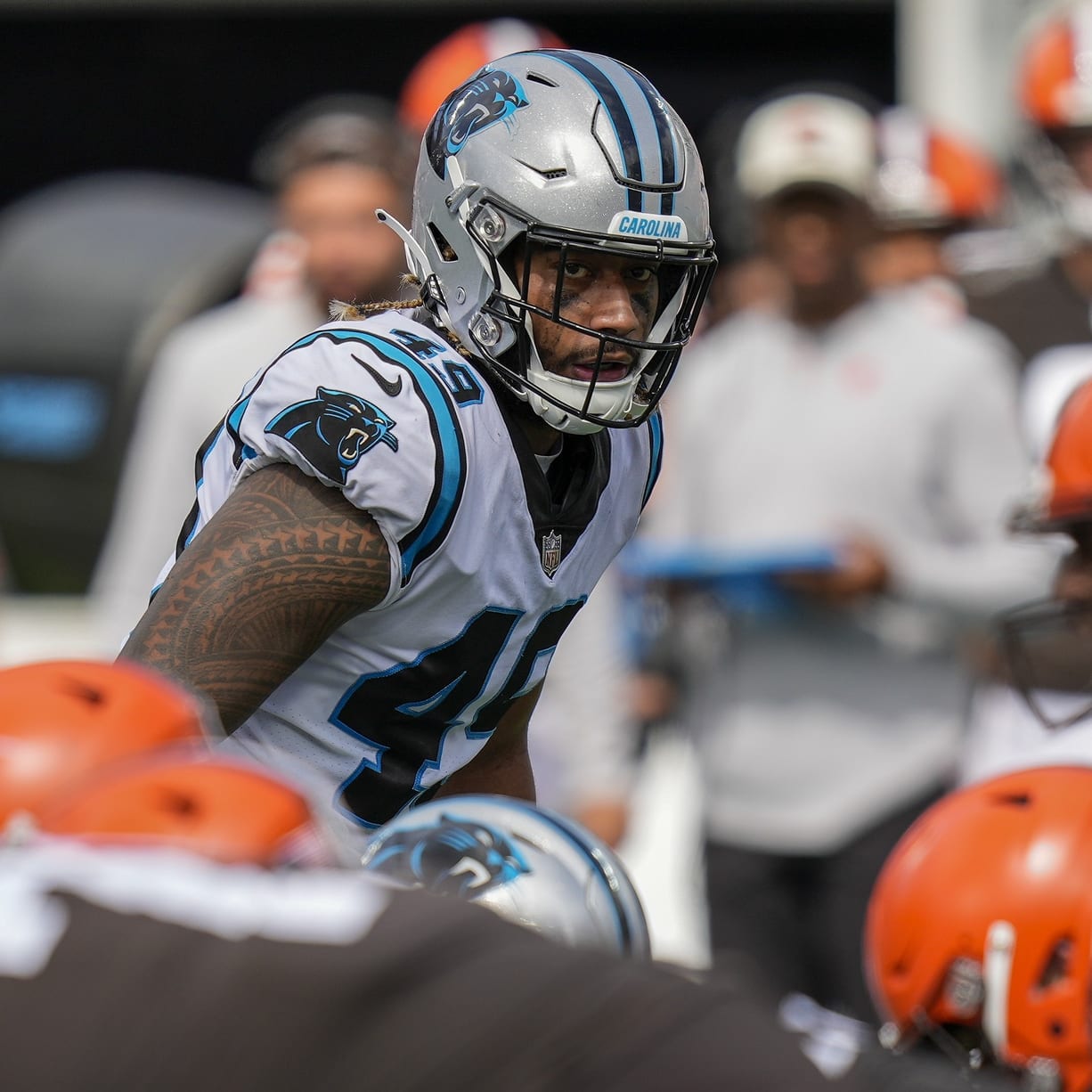 IDP Analysis: Week 11 Review