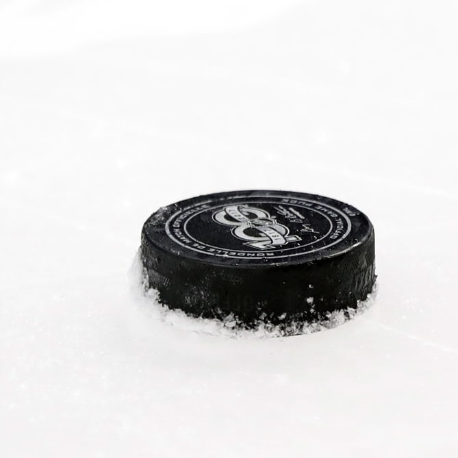 NHL Season Suspended
