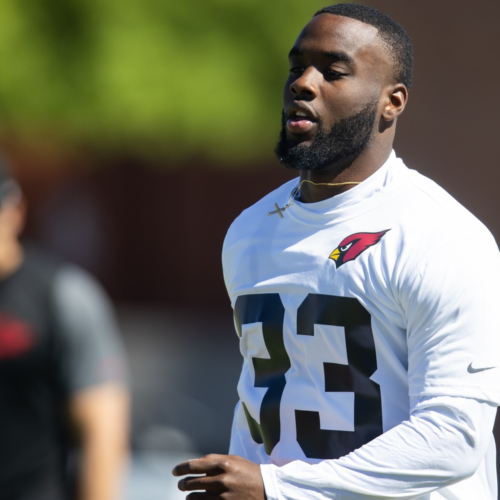 Best Backup Running Backs to Target in Fantasy Football: Ten Top Values
