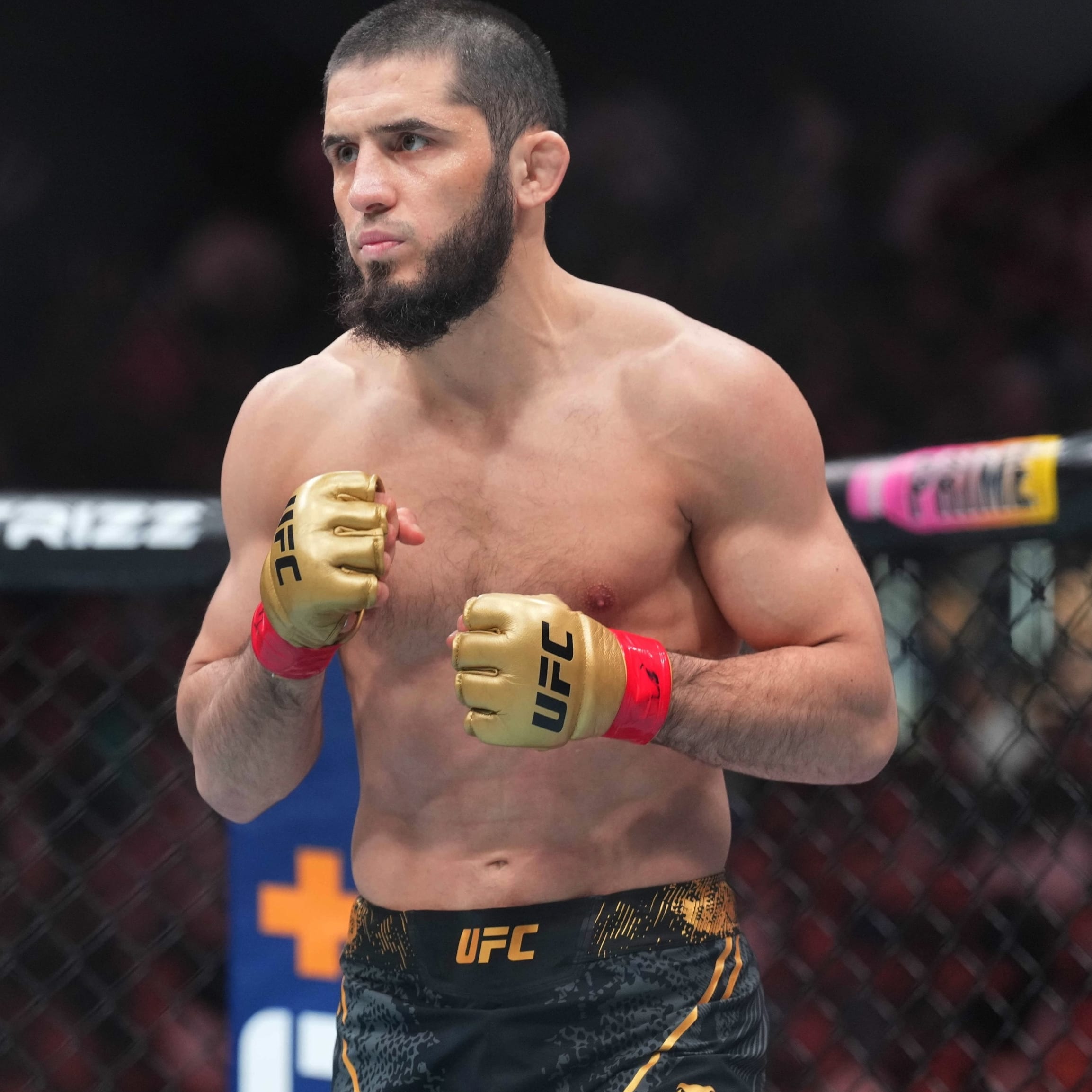 Fight IQ: UFC 330 Preview, Makhachev vs. Machado Garry