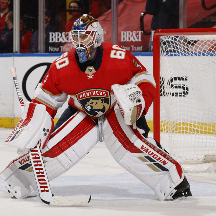 Frozen Fantasy: IR Stint